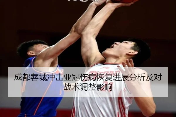 成都蓉城冲击亚冠伤病恢复进展分析及对战术调整影响